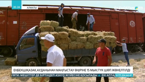 Алматы облысынан Маңғыстау өңіріне 15 мың түк шөп жөнелтілді
