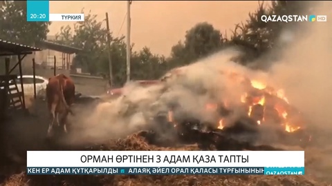 Түркияда орман өртінен 3 адам қаза тапты