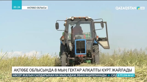 Ақтөбе облысында 8 мың гектар алқапты құрт жайлады
