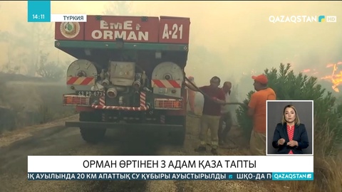 Түркияда орман өртімен күрес жалғасып жатыр
