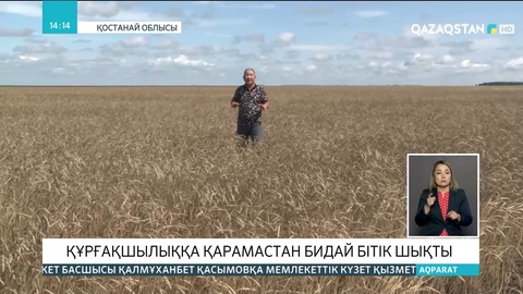 Қостанай облысында егіс алқаптарының 20 пайызы күйіп кеткен