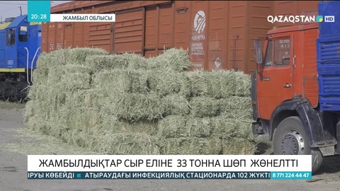 Жамбылдықтар Сыр еліне 33 тонна шөп жіберді