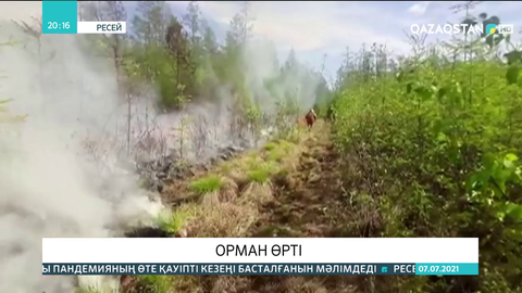 Ресейдің бірнеше өңірінде орман өрті қаулап жатыр