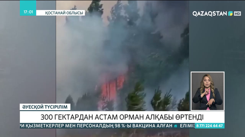Қостанайда 300 гектардан астам орман өртеніп кетті