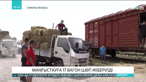 Маңғыстауға 17 вагон шөп жіберілді