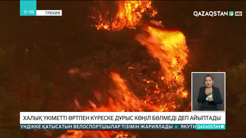 Грекия: Тұрғындар үкіметті орман өртімен күреске дұрыс көңіл бөлмеді деп айыптады