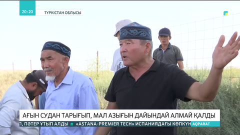 Түркістан облысындағы 3 ауыл ағын судан тарығып, мал азығын дайындай алмай қалды