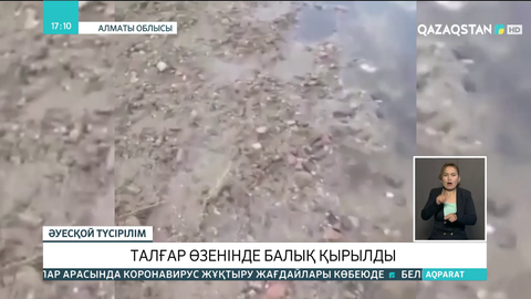 Талғар өзенінде балық қырылды