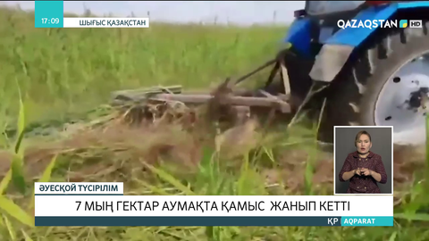 Шығыс Қазақстанда 7 мың гектар аумақта қамыс жанып кетті