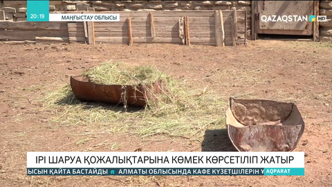 Маңғыстау облысындағы ірі шаруа қожалықтарына көмек көрсетіліп жатыр