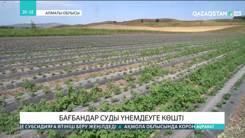 Алматы облысының бағбандары суды үнемдеуге көшті