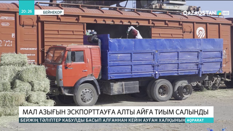 Мал азығын экспорттауға алты айға тыйым салынды