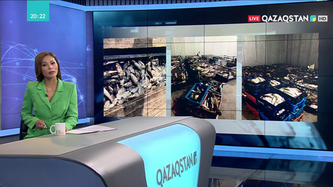 Атырау облысында 4 тоннадан астам балық тәркіленді