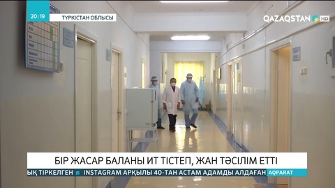 Түркістан облысында бір жасар баланы ит талап өлтірді