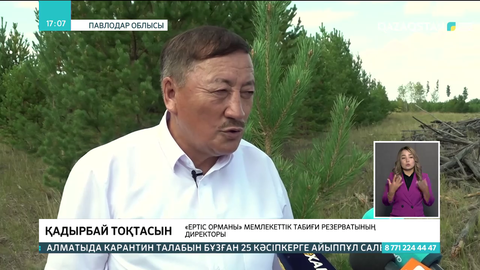 Павлодар облысында орман алқаптарына 16 бекет орнатылды