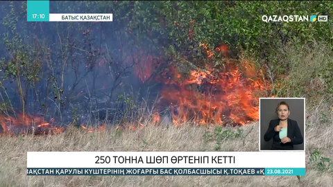 БҚО-да 250 тонна шөп өртеніп кетті