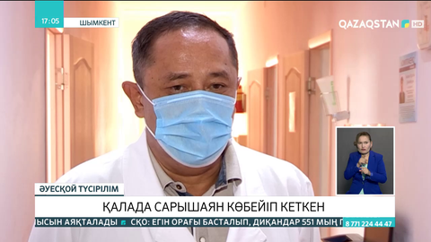 Шымкентте  тамыз айында  43 адамды сарышаян шаққан