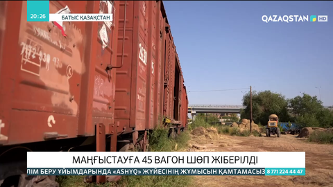Маңғыстауға 45 вагон шөп жіберілді