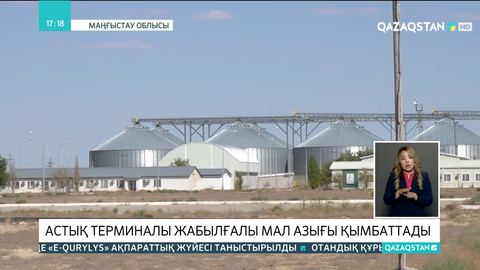 Маңғыстау облысында астық терминалы жабылғалы мал азығы қымбаттады