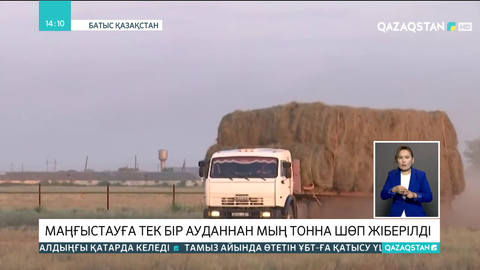 БҚО шаруалары Маңғыстауға мың тонна шөп жіберді