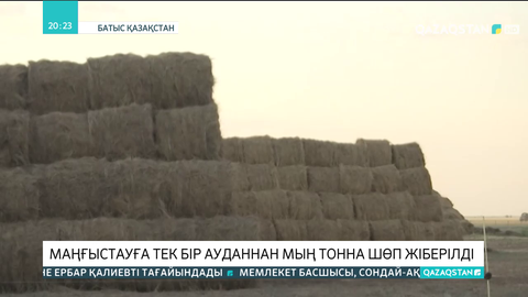 Маңғыстауға тек бір ауданнан мың тонна шөп жіберілді