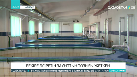 Атыраудағы  бекіре өсіретін зауыттың тозығы жеткен