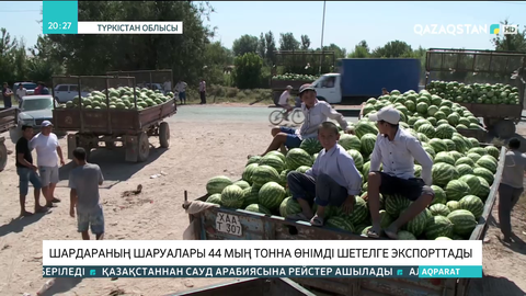 Шардараның шаруалары 44 мың тонна өнімді шетелге экспорттады