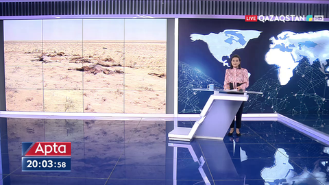 Осы аптада Серікқали Брекешев Экология, геология және табиғи ресурстар министрі болып тағайындалды