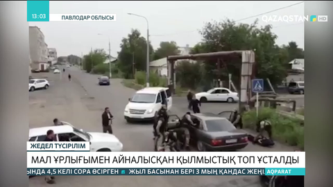 Екібастұзда мал ұрлығымен айналысқан қылмыстық топ ұсталды