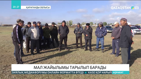 Қарағанды облысына қарасты Матақ ауылында жайылымдық жер жоқ