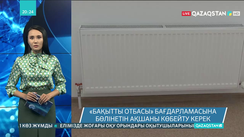 Депутаттар «Бақытты отбасы» бағдарламасына бөлінетін ақшаға қатысты Үкіметке сауал жолдады