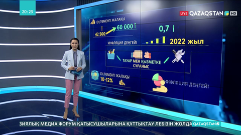 Елде ең төменгі жалақының көбеюі инфляцияның өсуіне әкеледі