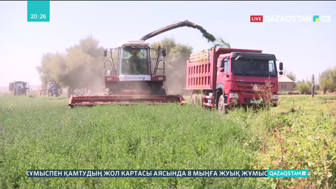 Ордабасы ауданы шаруаларының қысқы мал азығы дайын