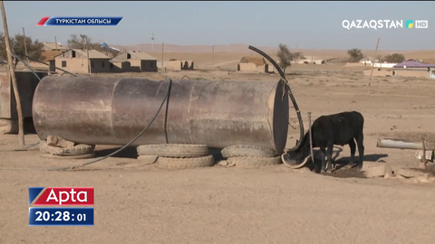 Түркістан облысының Әлімтау ауылында қуаңшылықтан мал көтерем бола бастаған