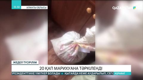 Алматы облысында ірі көлемде марихуана тәркіленді