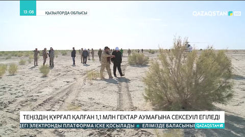 Арал теңізінің құрғап қалған 1,1 млн гектар аумағына сексеуіл егіледі