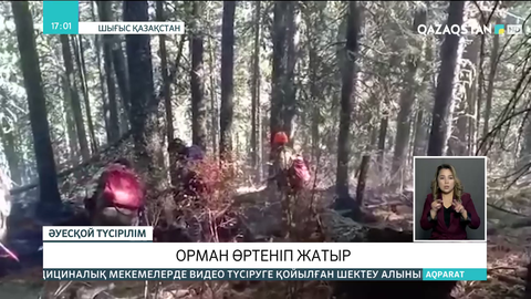 Катонқарағай ауданында орман өртеніп жатыр