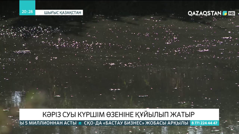 Кәріз суы Күршім өзеніне құйылып жатыр