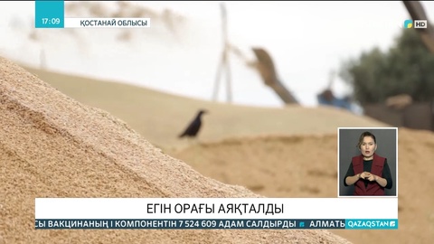 Қостанай облысында егін орағы аяқталды