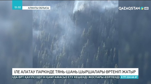 Іле Алатау паркінде Тянь-шань шыршалары өртеніп жатыр
