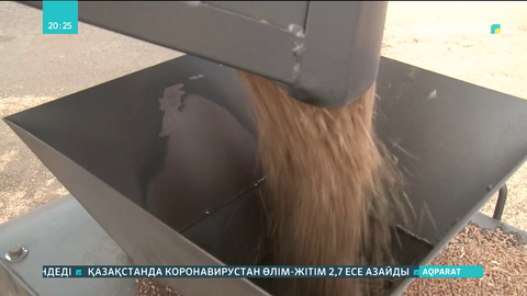Қазақстан Ауғанстанға астық пен ұн сатуды жалғастырады