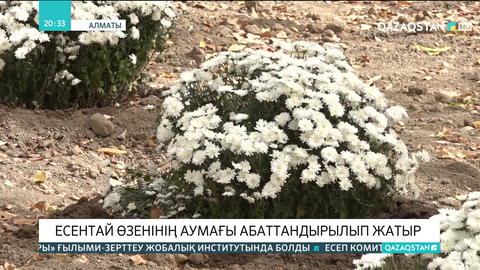 Алматыдағы Есентай өзенінің аумағы абаттандырылып жатыр