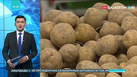 Азық-түлік бағасын негізсіз өсіргендерге айыппұл салынып жатыр