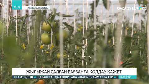 Жылыжай салған бағбанға қолдау қажет