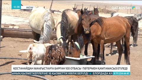 Қостанайға Маңғыстаудан барған 100 отбасы пәтермен қамтамасыз етіледі