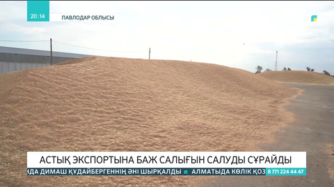 Павлодарлық ұн өндірушілер астық экспортына баж салығын енгізуді сұрайды