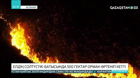 Испанияның солтүстік-батысында 500 гектар орман өртеніп кетті