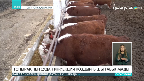 СҚО-дағы Сібір жарасы тіркелген ауданда 17 қыркүйектен бастып карантин енгізіледі