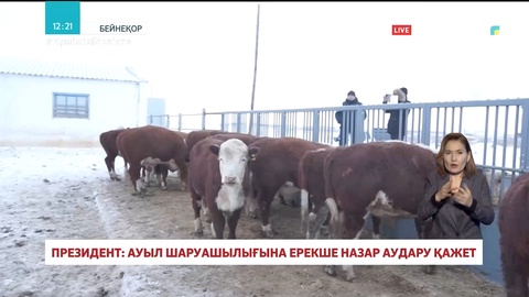 Ауыл шаруашылығына ерекше назар аудару қажет – Президент