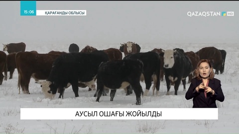 Қарағанды облысында аусыл ошағы жойылды